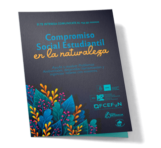 Afiche impreso - ejemplo