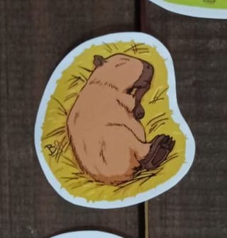 Sticker Capi Ejemplo